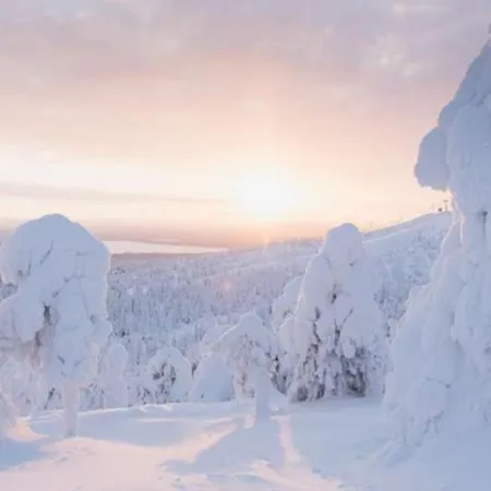 Ruka, Riversidevilla With Sauna, Fireplace, Terrace, Wifi, Aurora, Swimming Loma-asunnot Ruka