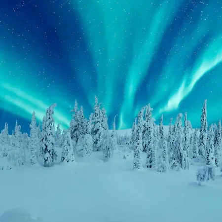 Loma-asunnot Ruka, Riversidevilla With Sauna, Fireplace, Terrace, Wifi, Aurora, Swimming Ruka