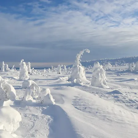 Ruka, Riversidevilla With Sauna, Fireplace, Terrace, Wifi, Aurora, Swimming * روكا