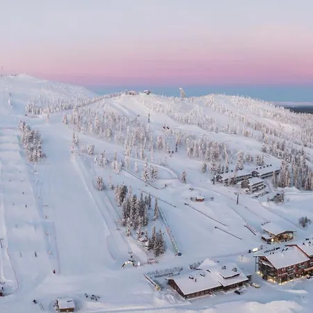 Ruka, Riversidevilla With Sauna, Fireplace, Terrace, Wifi, Aurora, Swimming Loma-asunnot