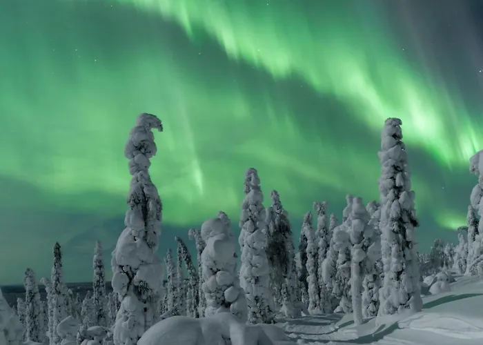 Ruka, Riversidevilla With Sauna, Fireplace, Terrace, Wifi, Aurora, Swimming 鲁卡