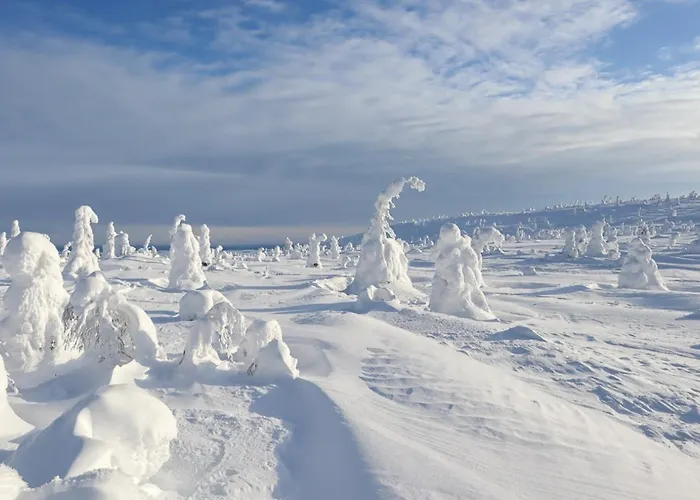 Ruka, Riversidevilla With Sauna, Fireplace, Terrace, Wifi, Aurora, Swimming * Ruka